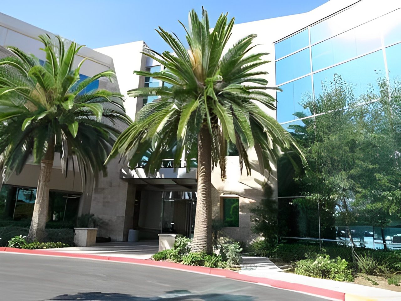 A palm tree in front of a building.